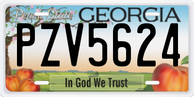 GA license plate PZV5624
