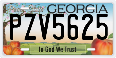 GA license plate PZV5625