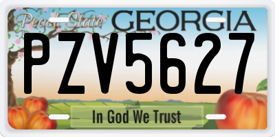 GA license plate PZV5627