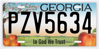 GA license plate PZV5634