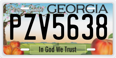 GA license plate PZV5638