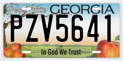 GA license plate PZV5641