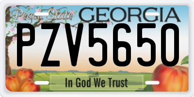 GA license plate PZV5650