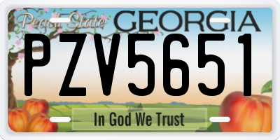 GA license plate PZV5651