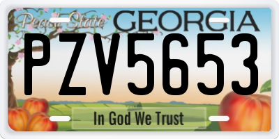 GA license plate PZV5653