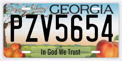 GA license plate PZV5654
