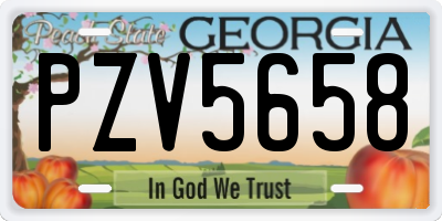 GA license plate PZV5658