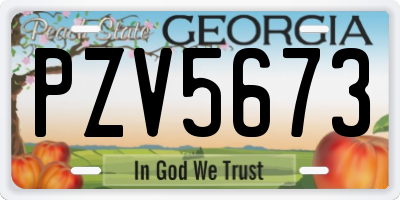 GA license plate PZV5673