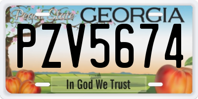 GA license plate PZV5674