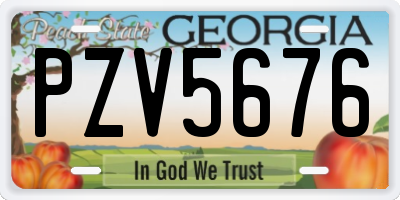 GA license plate PZV5676