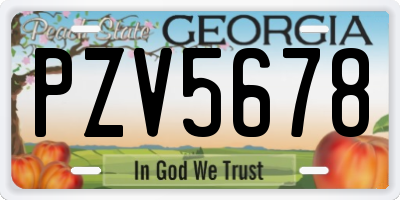 GA license plate PZV5678