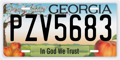 GA license plate PZV5683