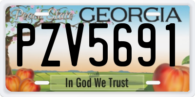GA license plate PZV5691