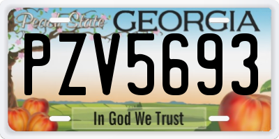 GA license plate PZV5693