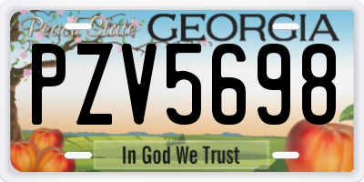 GA license plate PZV5698