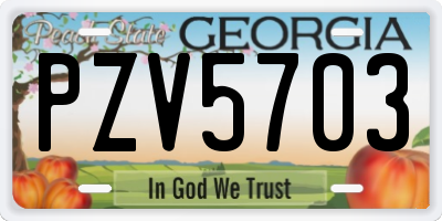 GA license plate PZV5703