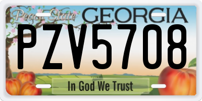 GA license plate PZV5708