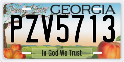 GA license plate PZV5713