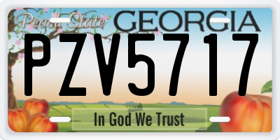 GA license plate PZV5717