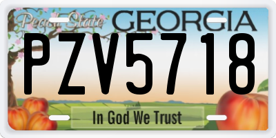 GA license plate PZV5718