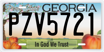 GA license plate PZV5721