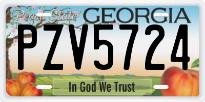 GA license plate PZV5724