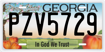 GA license plate PZV5729
