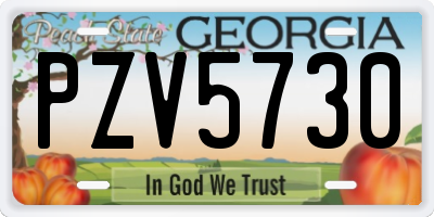 GA license plate PZV5730