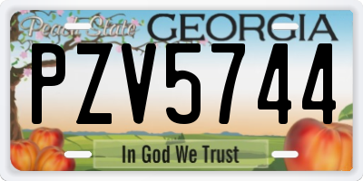 GA license plate PZV5744