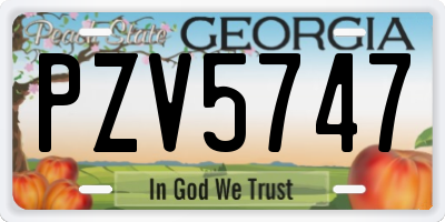 GA license plate PZV5747