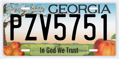 GA license plate PZV5751