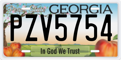 GA license plate PZV5754