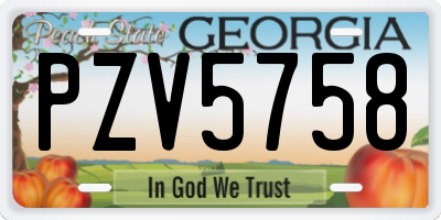 GA license plate PZV5758