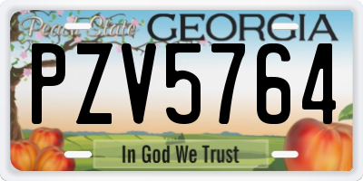 GA license plate PZV5764