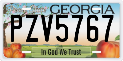 GA license plate PZV5767