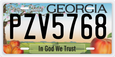 GA license plate PZV5768