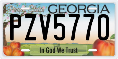 GA license plate PZV5770