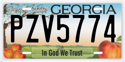GA license plate PZV5774