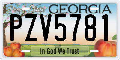GA license plate PZV5781
