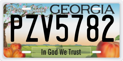 GA license plate PZV5782