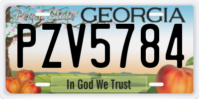 GA license plate PZV5784