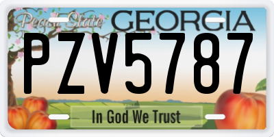 GA license plate PZV5787