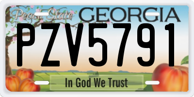 GA license plate PZV5791