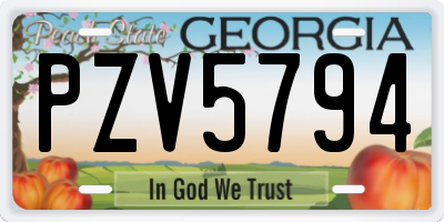 GA license plate PZV5794