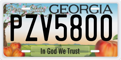 GA license plate PZV5800