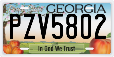 GA license plate PZV5802