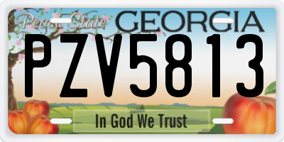 GA license plate PZV5813