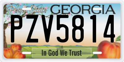 GA license plate PZV5814