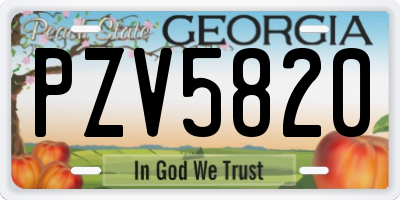 GA license plate PZV5820