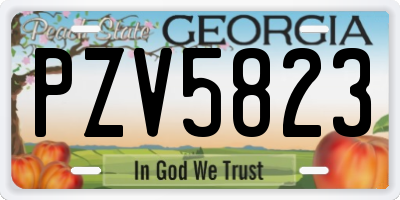 GA license plate PZV5823